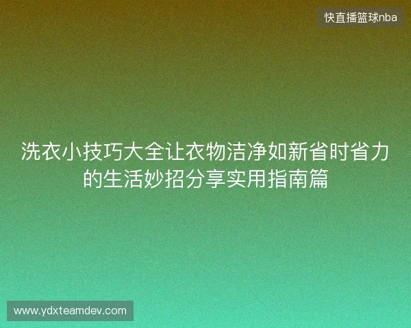 洗衣小技巧大全让衣物洁净如新省时省力的生活妙招分享实用指南篇